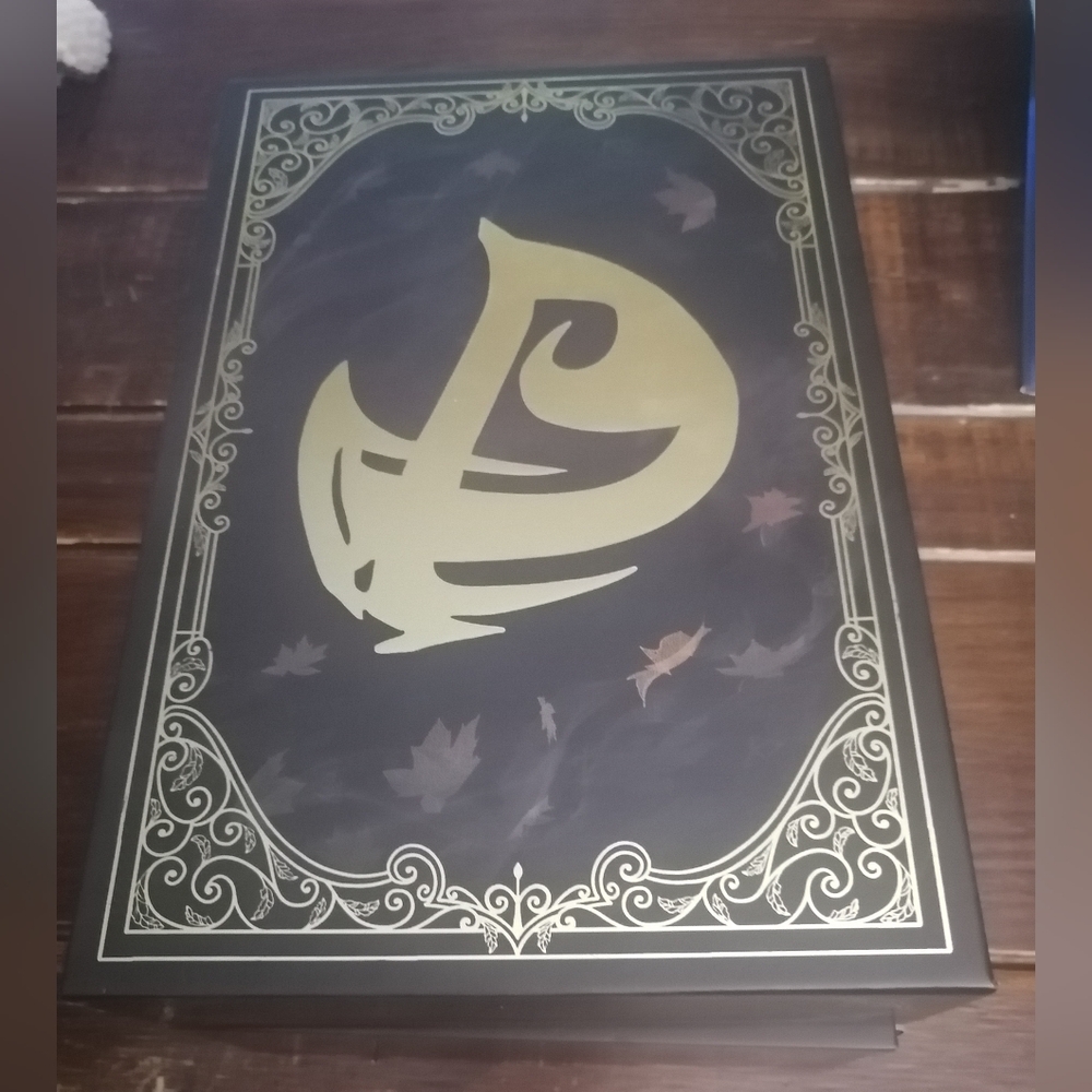 Special booksleeve for Shadow Hunter book by Cassandra Clare